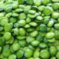 Griffonia simplicifolia