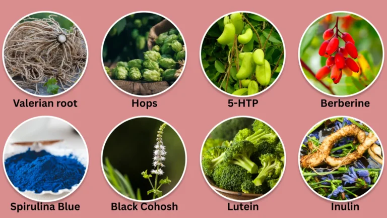 Sleep Lean Ingredients